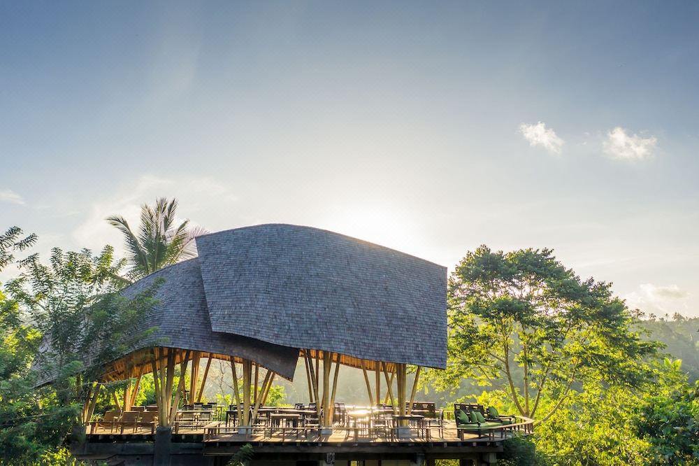 Buahan A Banyan Tree Escape 